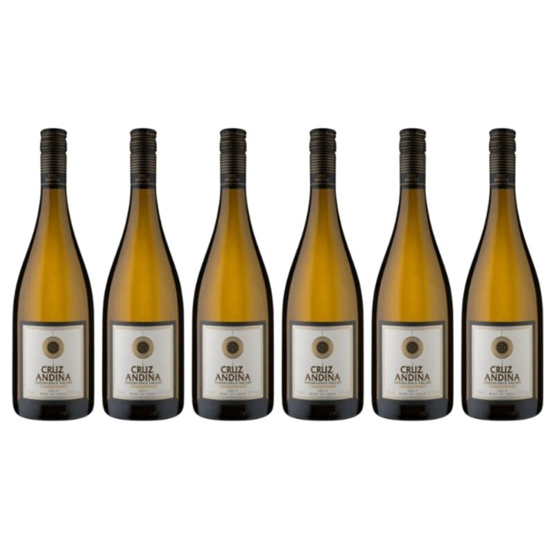 6x Cruz Andina Chardonnay, 2017