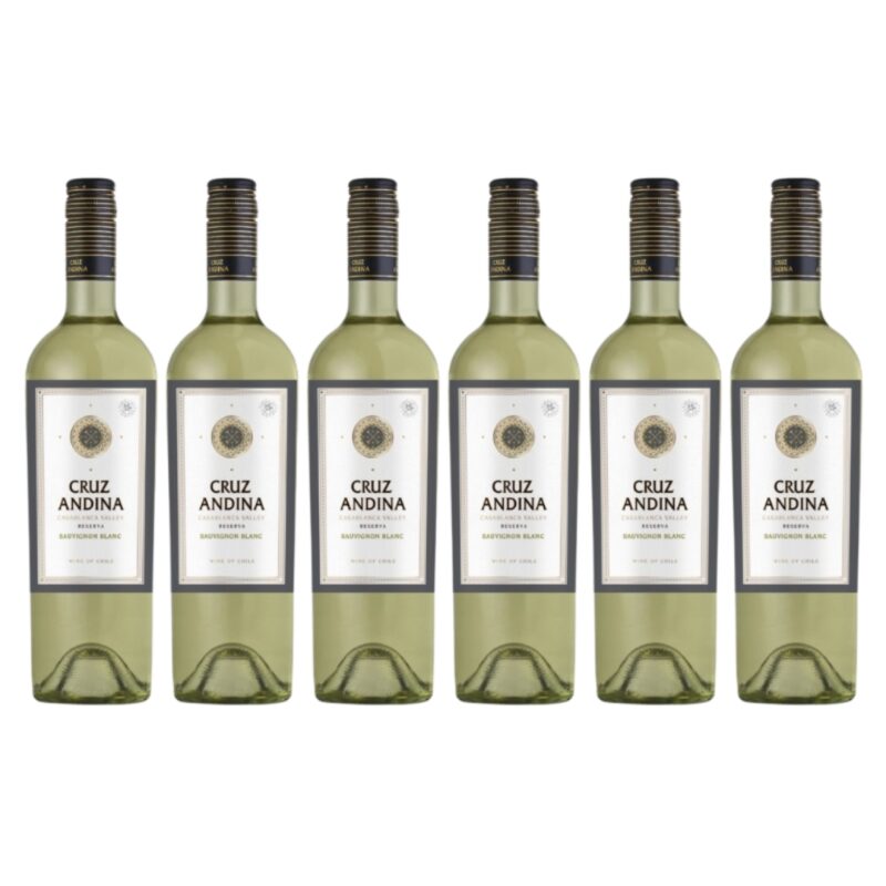 6x Cruz Andina Sauvignon Blanc, 2017